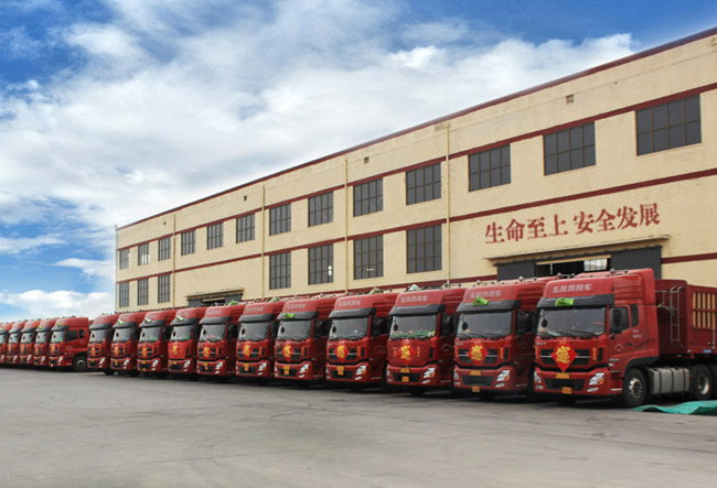 危險品運輸 危險品運輸